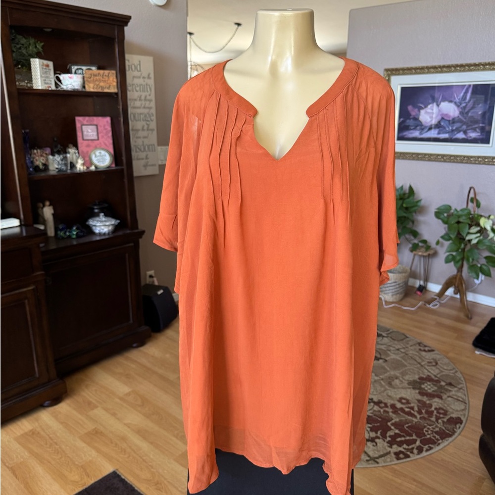 Bloomchic rust sheer short sleeve blouse w/lining-size 18/20